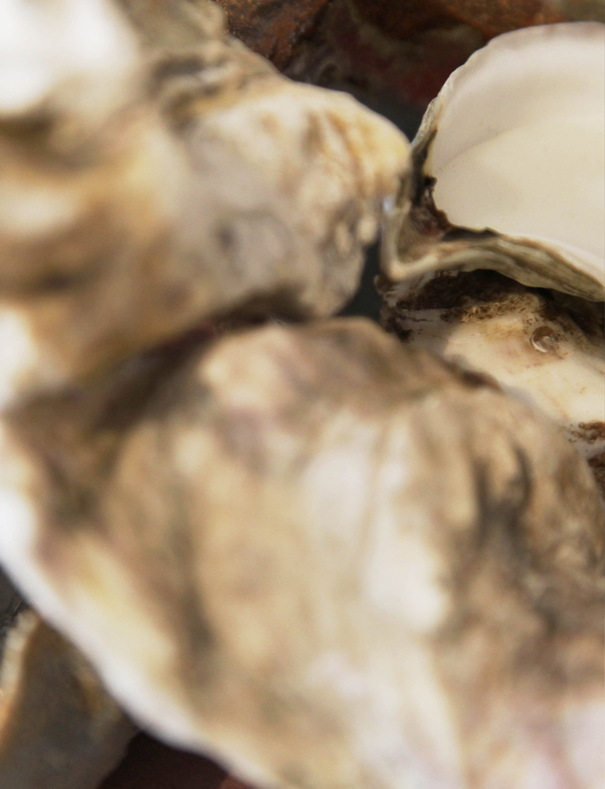 184 193 Feat Curated2