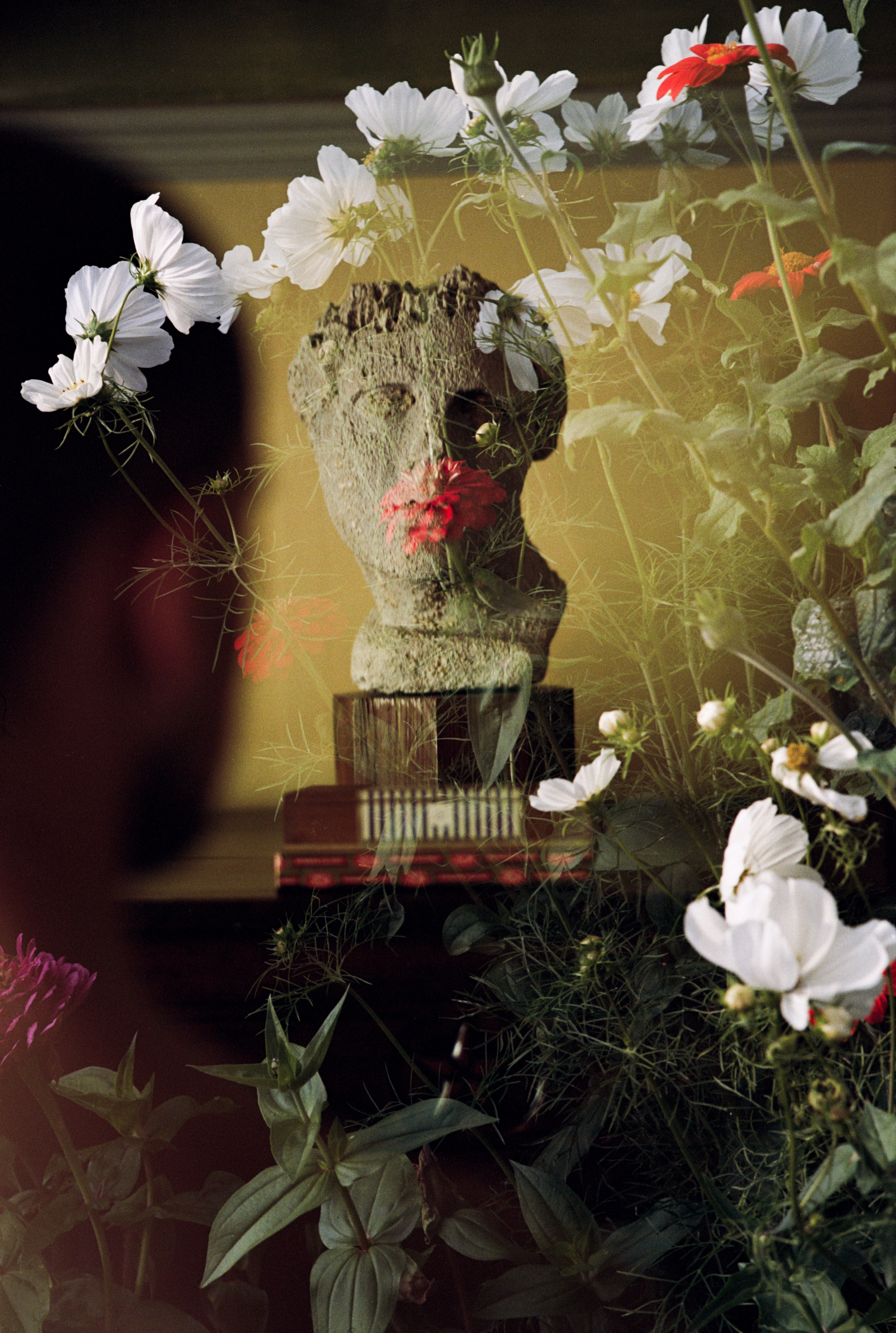 Drum Scans 1Plastiques 9295 7 Copy