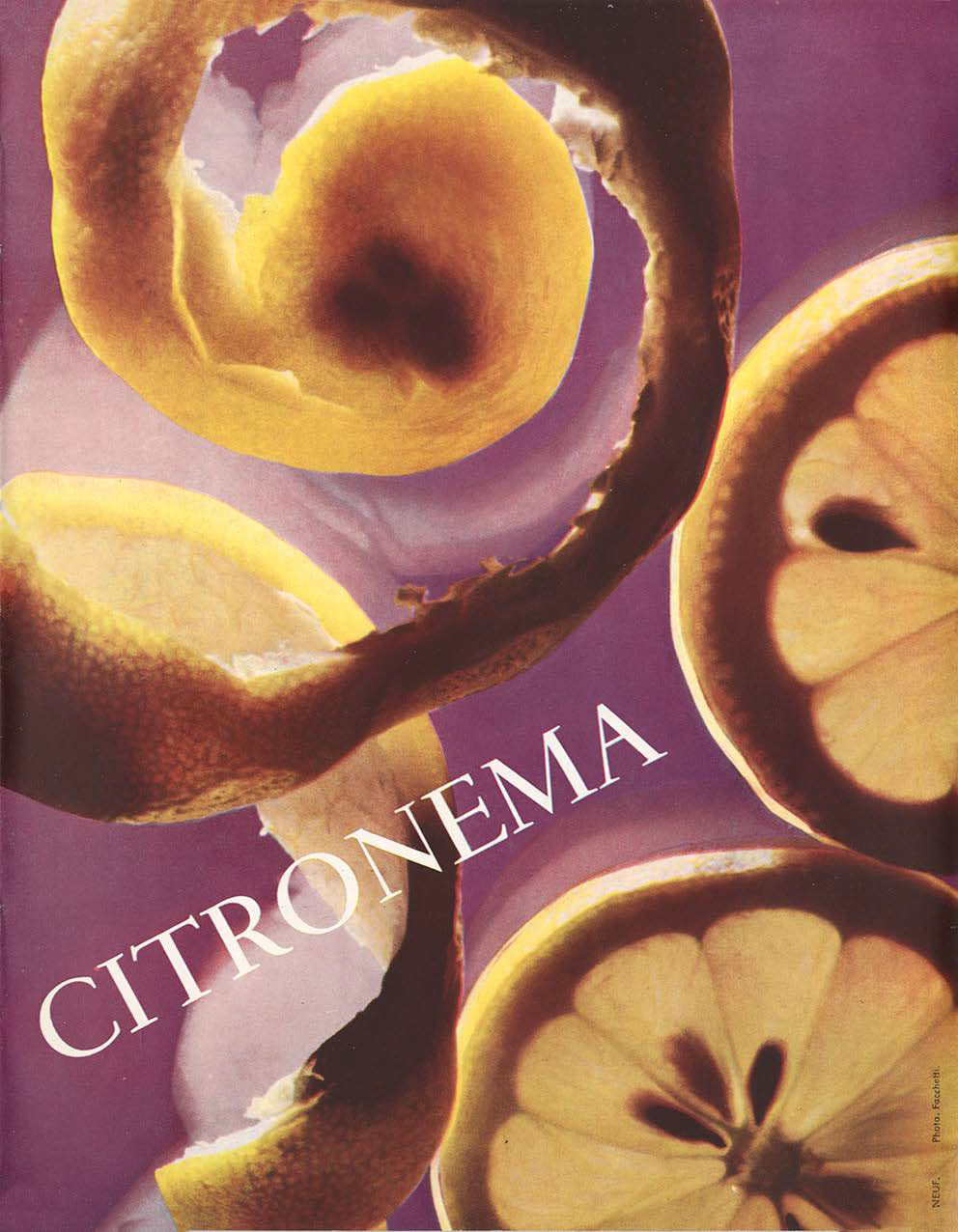 Untitled Extract Pages2 2