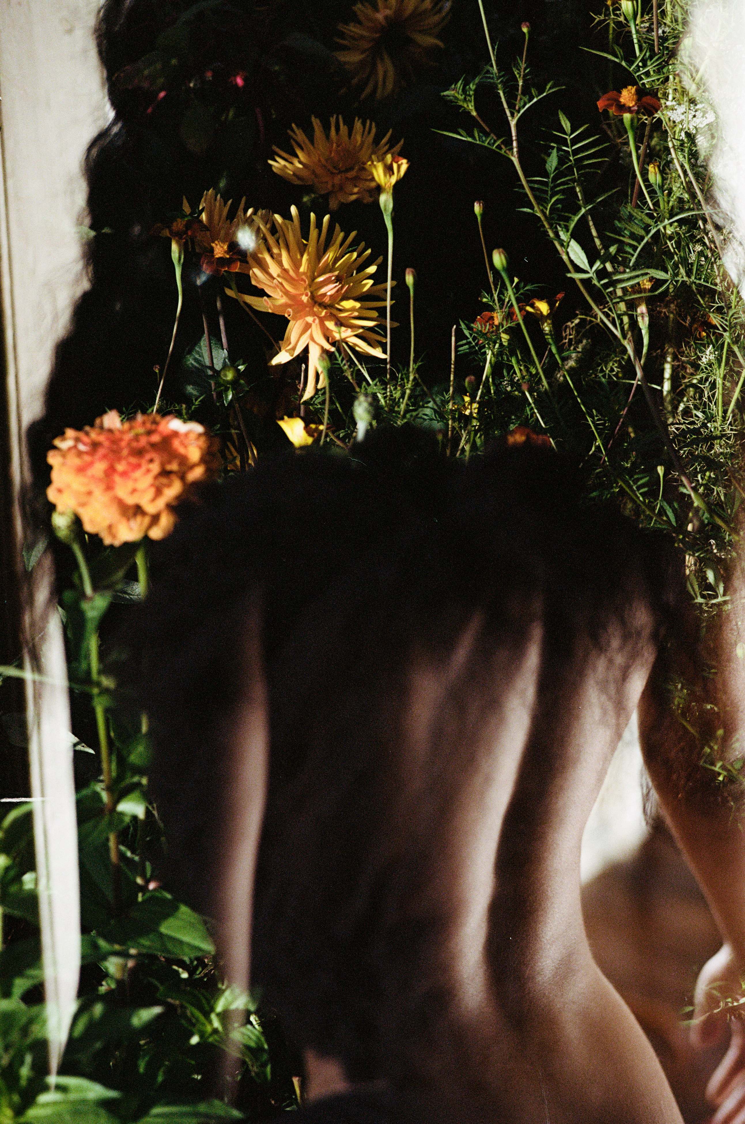 25Mb 300 DPI 5000020020037 Copy