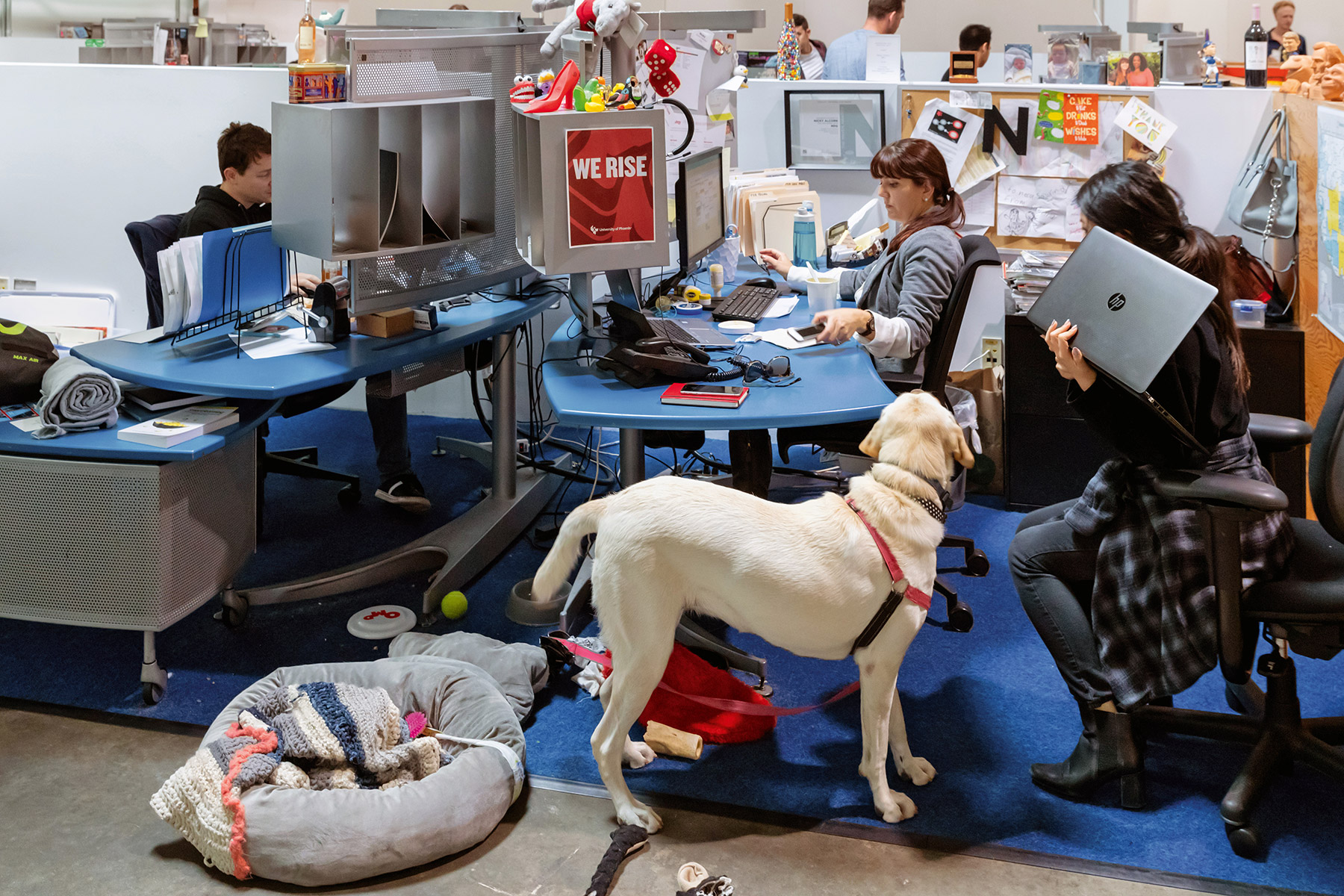 046B SOIL HUMANS WORK VA 04696