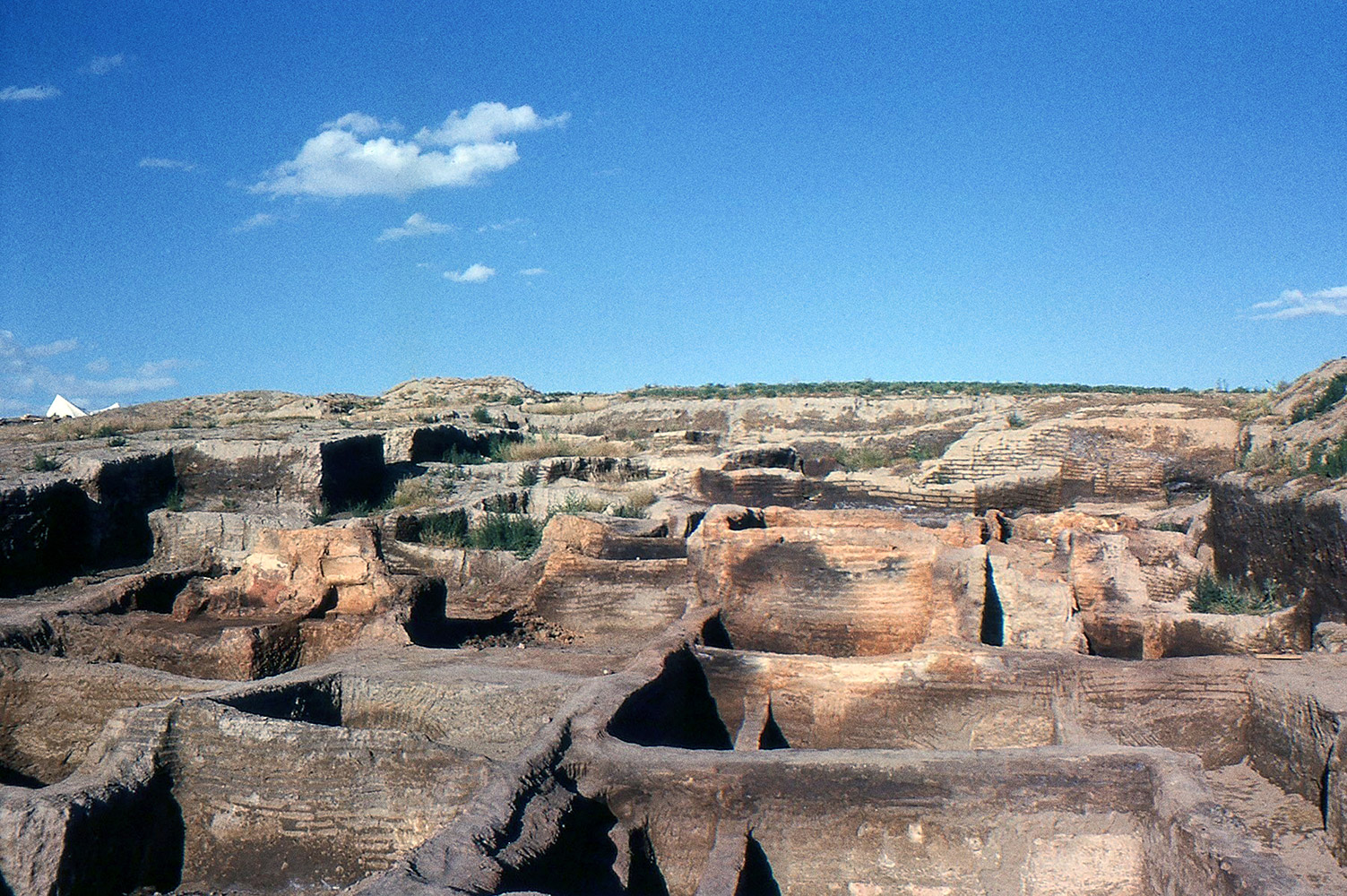 Çatalhöyük After The First Excavations By James Mellaart And His Teamflat