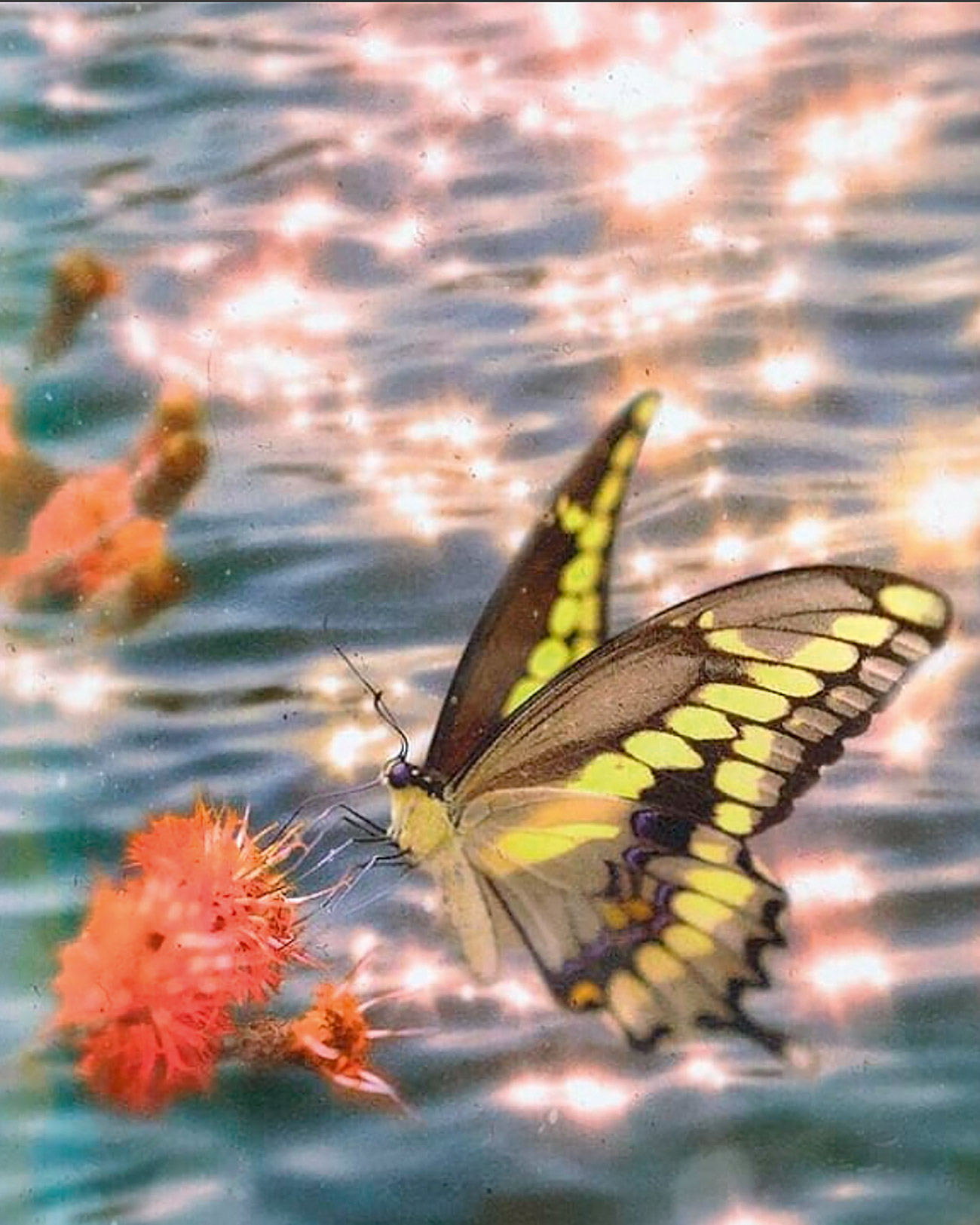 Capture D’Écran 2020 02 18 À 16.46.17