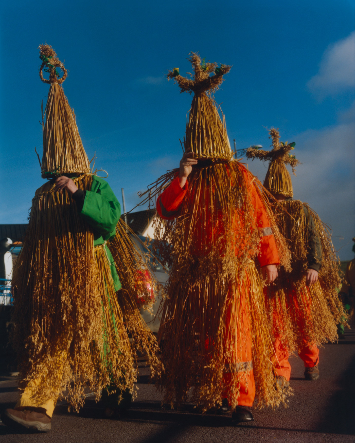 WRENS (4)Crop 03 V1 RGB