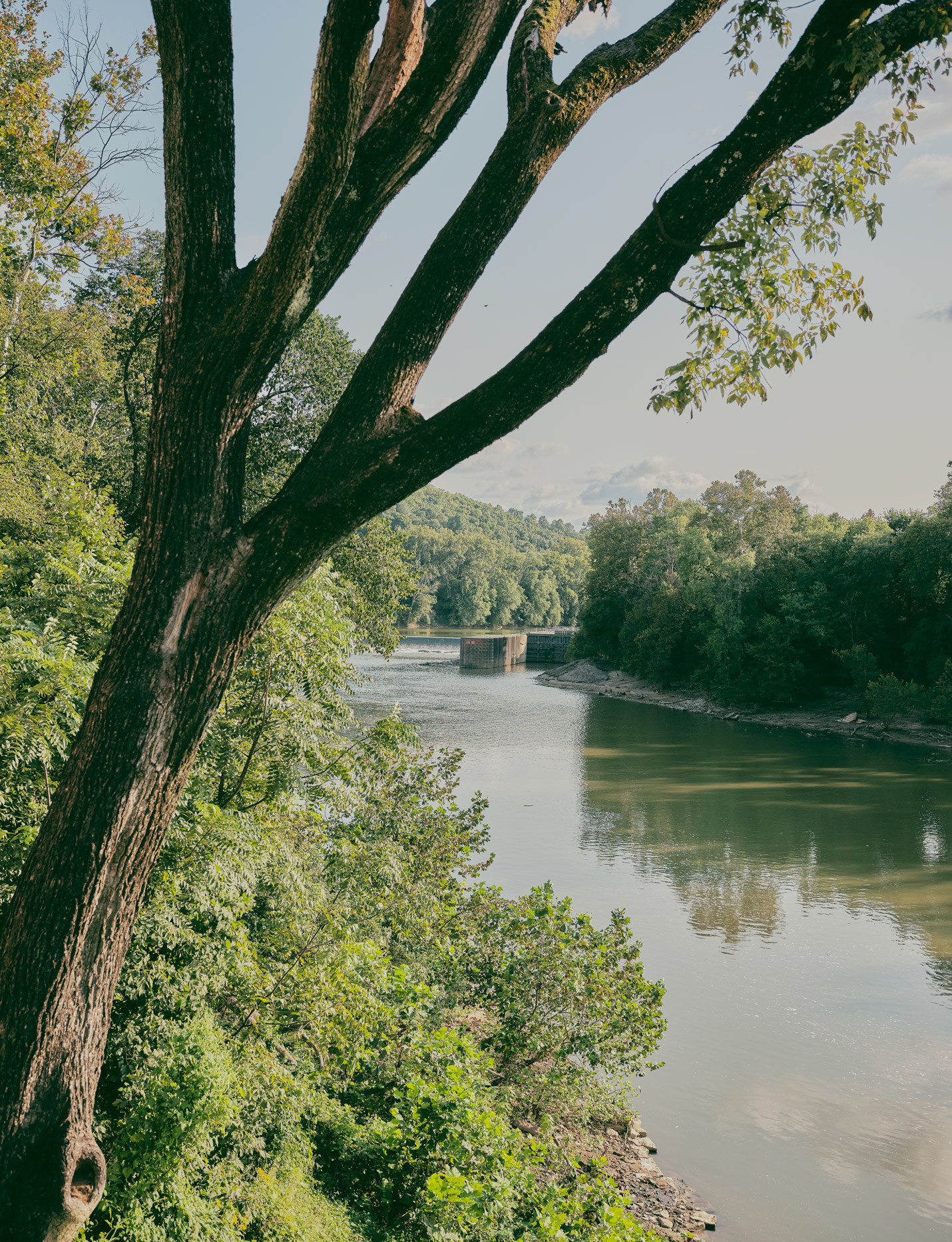 2 220923 TANK KENTUCKY GFX 696 BUFFALO RIVER Copy 2